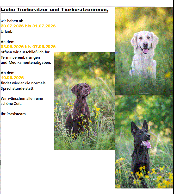 Sommerurlaub 2026
